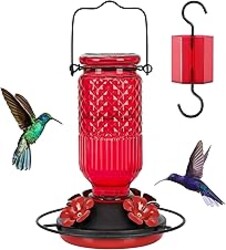 FEED GARDEN Glass Hummingbird Feeder, 16oz Outdoor Hanging Bird Feeder with Ant Moat, 4 Bee-Proof Feeding Ports, 360° Perch, Leak-Proof, Red