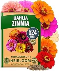 HOME GROWN Zinnia Dahlia Seeds Pack for 2026 Non GMO 524 Flower Seeds | Vibrant Zinnia Elegans for Pollinator Gardens, Borders & Containers | Easy-to-Grow Outdoor Blooms