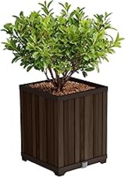 Keter Signature 21.6 Inch Tall Square Large Wood Look Planter for Indoor or Outdoor Flower Pot Ideal for Patio Deck and Front Porch Decor, Rosewood