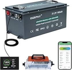 OGRPHY 48V Lithium Golf Cart Battery, 200A BMS(1000A Peak Current), with Touch Monitor & Mobile APP, 4000+ Cycles 48V Lithium Battery with 18A Charger, Perfect for Golf Carts, Solar(105AH)