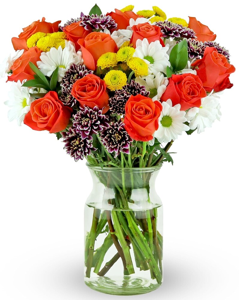 Benchmark Bouquets - Life is Good Orange Roses - Fresh Flowers for Delivery - Mothers Day Flowers for Mom - Gifts for Mom - Mother's Day Bouquet (Glass Vase Included)