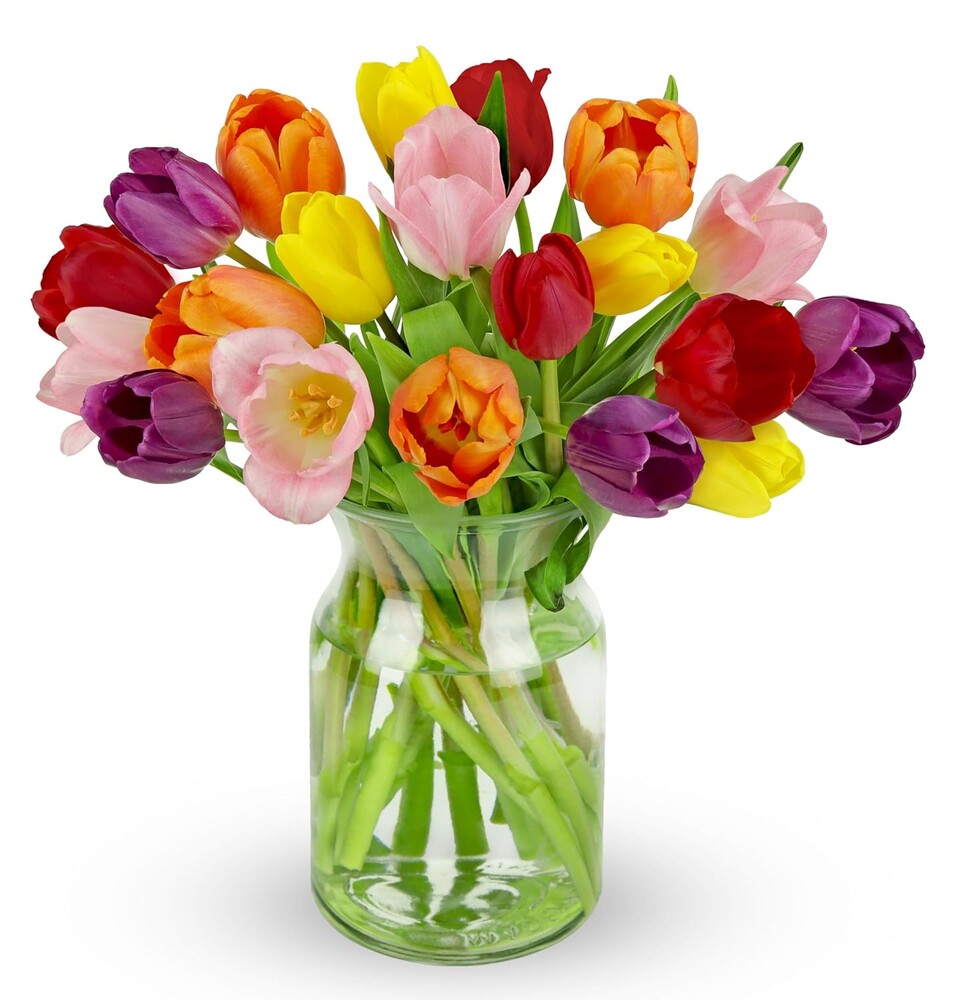 Benchmark Bouquets Rainbow Tulips – Mothers Day Flowers for Delivery – Fresh Tulips Bouquet for Mom – Birthday & Graduation Gifts for Women – Fresh Flowers – Glass Vase Included (20 Stems)
