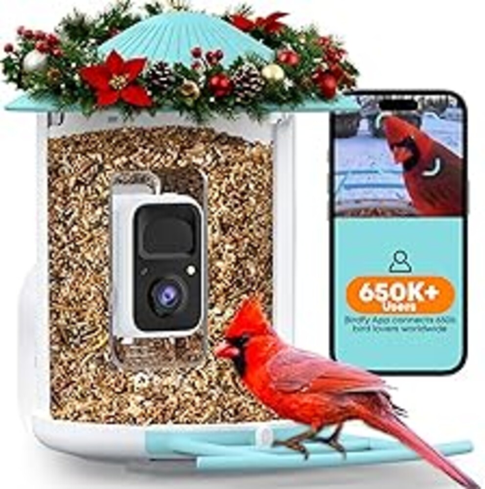 NETVUE by Birdfy Smart Bird Feeder with AI Camera, Auto Capture Videos & Motion Detection, Live Steam, Wireless Wildbird Watching, Outdoor Backyard Birder(AI by Subscription)