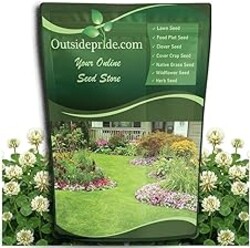 Outsidepride Perennial White Dutch Clover Seed - 10 lbs. Nitrocoated, Inoculated Clover Seeds for Lawn Alternative, Erosion Control, Food Plots, Ground Cover, & Pasture Mixtures in USDA Zones 3-10