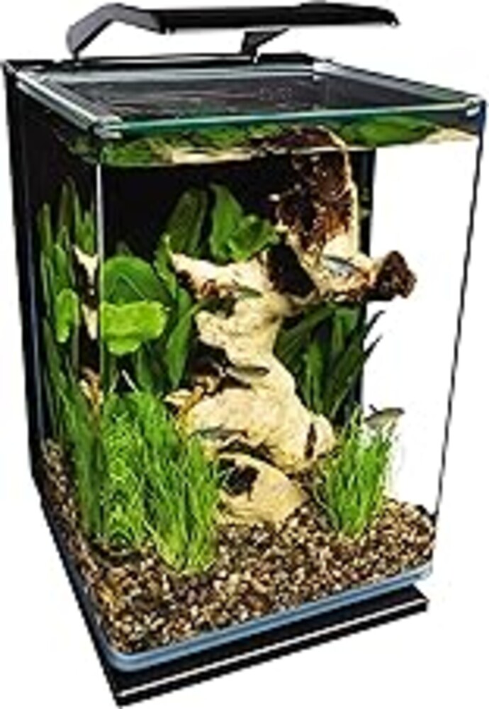 Marineland Portrait Glass LED Aquarium Kit, 5 Gallons, Hidden Filtration,Black