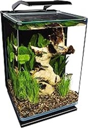 Marineland Portrait Glass LED Aquarium Kit, 5 Gallons, Hidden Filtration,Black