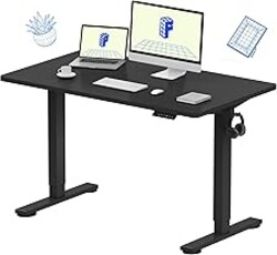 FLEXISPOT EN1 One-Piece Standing Desk, Electric Adjustable with 4 Memory Presets, 176 LBS Capacity, Stable & Quiet, Seamless Desktop for Home Office & Dual Monitors, 48"x24" Black