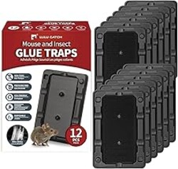 LULUCATCH Mouse & Insect Traps 12 Pack, Heavier Sticky Traps with Non-Toxic Glue for Small Mice & Insects. Sticky Mouse Traps Indoor for Home, Easy to Set