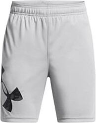 Under Armour Kids Tech Big Logo Shorts (Big Kid)
