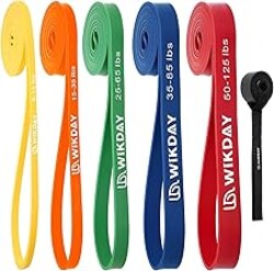WIKDAY Resistance Bands, Pull Up Bands, Workout Bands for Exercise, Thick Heavy Resistance Band Set with Door Anchor, Elastic Bands for Body Stretching, Training at Home/Gym for Men & Women