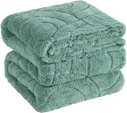 Twin Blanket for Bed - Soft Blankets for Women, Cute Cozy Fleece Blanket for Girls Gift, Jade Green,60x80 Inches