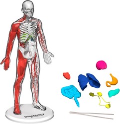 Discovery 3D Human Anatomy Biology Model Kit, 28-Piece Glow-in-The-Dark Human Body Model Skeleton, Interactive Learning & Education Toys Ages 8+