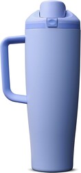 Owala FreeSip Tumbler Insulated Stainless Steel Water Bottle with Built-in Straw and Side Handle, For Travel, Work, School, and Sports, 40oz, BPA Free, Leak Proof, Out of the Blue