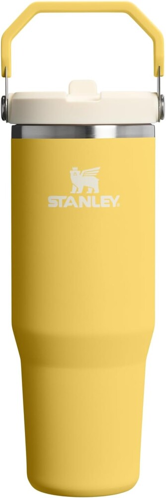 STANLEY IceFlow 2.0 Flip Straw Tumbler with Handle 30 oz | Twist On Lid and Flip Up Straw | Leakproof Water Bottle | Insulated Stainless Steel | BPA-Free | Daffodil