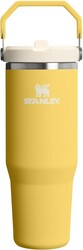 STANLEY IceFlow 2.0 Flip Straw Tumbler with Handle 30 oz | Twist On Lid and Flip Up Straw | Leakproof Water Bottle | Insulated Stainless Steel | BPA-Free | Daffodil
