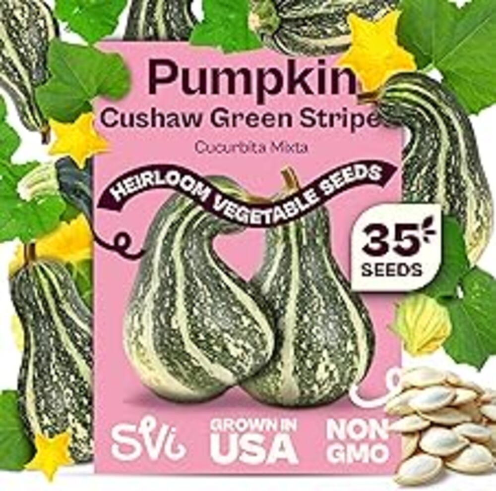 SVI 35 Cushaw Green Striped Pumpkin Seeds (Cucurbita mixta) – Cushaw Squash, Non GMO Winter Squash Seed Packets – Heirloom Vegetable Seeds for Planting Outdoors in Home Garden & Raised Beds