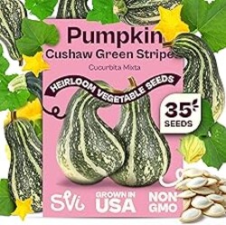 SVI 35 Cushaw Green Striped Pumpkin Seeds (Cucurbita mixta) – Cushaw Squash, Non GMO Winter Squash Seed Packets – Heirloom Vegetable Seeds for Planting Outdoors in Home Garden & Raised Beds