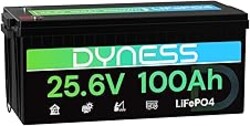 Dyness 24V 100Ah LiFePO4 Lithium Battery, 2560Wh Large Capacity with Smart 100A BMS, 4000+ Deep Cycle, 10-Year Lifetime, Supports 4P2S Connection Up to 20.48kWh, Perfect for RV, Solar System, Marine