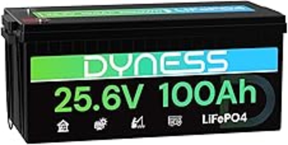 Dyness 24V 100Ah LiFePO4 Lithium Battery, 2560Wh Large Capacity with Smart 100A BMS, 4000+ Deep Cycle, 10-Year Lifetime, Supports 4P2S Connection Up to 20.48kWh, Perfect for RV, Solar System, Marine