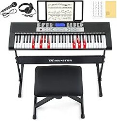 61 Key Piano Keyboard, Electric Keyboard Piano with Light-Up Keys, 255 Tones/Rhythms, Smart Learning System, Headphone, Microphone, Keyboard Stand, Stool, Stickers, Piano Keyboard Set for Beginners
