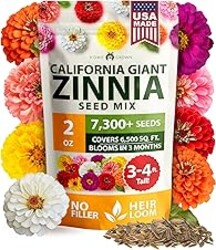 HOME GROWN Zinnia Seeds for 2026 - California Giant Mix - 7,300+ (2 oz) Plant Wildflower Blooms Bulk Seeds for Planting Flowers Outside - Pollinator Gardens (Zinnia elegans)