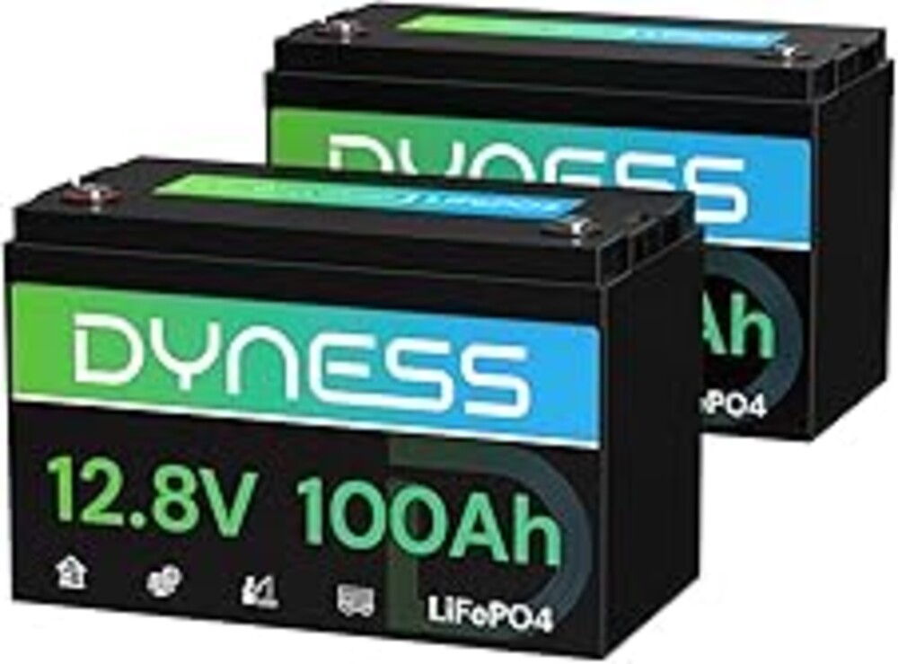 Dyness 12V 100Ah LiFePO4 Lithium Battery (2 Pack) BCI Group 31 with Low-Temp Protection, A+ Grade Cell Built-in 100A BMS, 12 Volt Lithium Battery Perfect for RV, Solar System, Off-Grid, Home Energy
