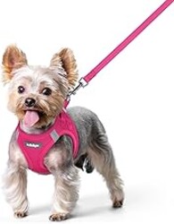 rabbitgoo Dog Harness Small Sized and Leash Set, Step in Soft Light Puppy Vest, Breathable Mesh Pet Harness, Reflective for Safe Easy Walking, Rose Red XS
