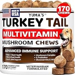 Turkey Tail Mushroom for Dogs - 170 Count - Mushroom Chews for Dogs Lipoma Lumps and Bumps - Immune Health, Digestive, Skin, Energy, Joint Vitamin Support Guard Buddy - Multivitamin Supplement