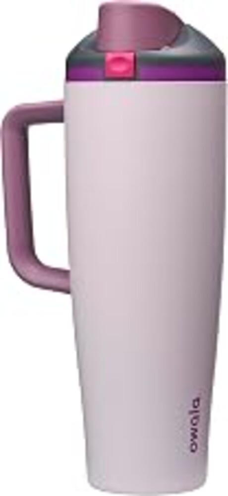 Owala FreeSip Tumbler Insulated Stainless Steel Water Bottle with Built-in Straw and Side Handle, For Travel, Work, School, and Sports, BPA Free, Leak Proof, 40oz, Dreamy Field