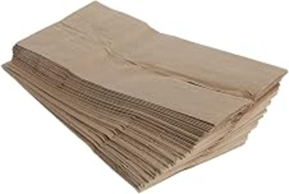 DollarItemDirect LUNCH BAGS, brown