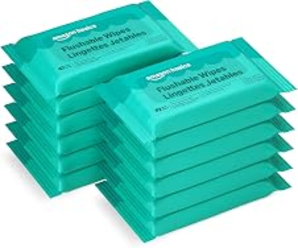 Amazon Basics Flushable Adult Toilet Wipes, Fragrance Free, 504 Count (12 Packs of 42), Packaging May Vary