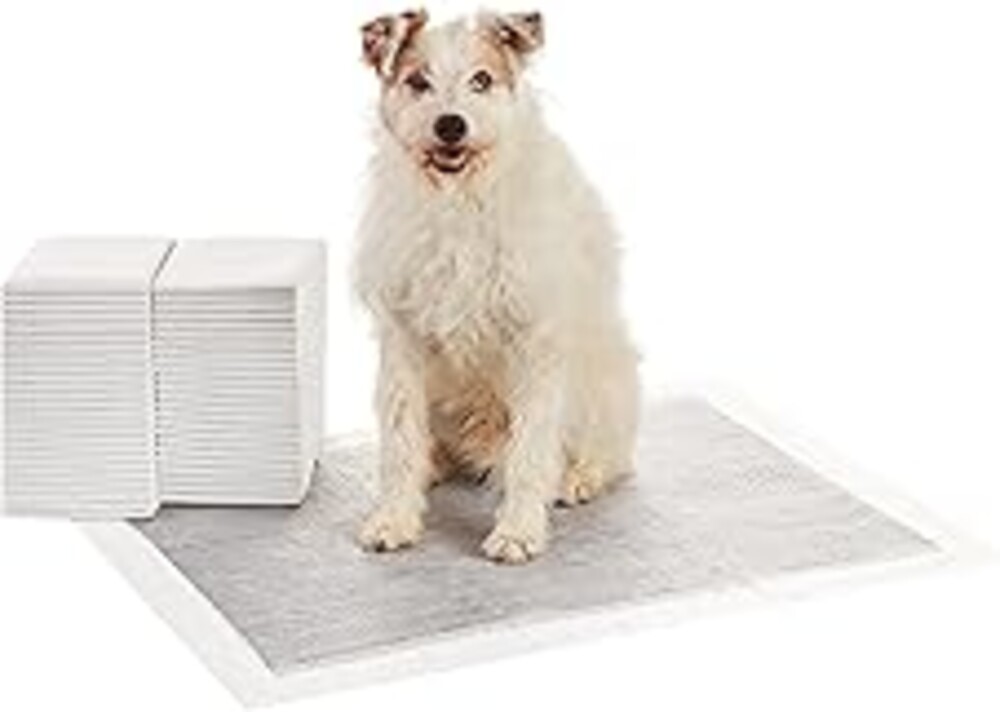 Amazon Basics Carbon Odor Control Dog and Puppy Pee Pads, 5-Layer Leak-Proof Super Absorbent, Quick-Dry Surface for Potty Training and Housebreaking, X-Large Size 28"x34", Gray, 50 Count