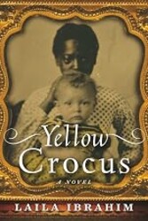 Yellow Crocus
