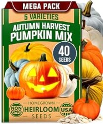 HOME GROWN Pumpkin Seeds 5 Variety Mix 40+ Heirloom Non-GMO, High Germination, Connecticut Field, Blue, White & Mini Pumpkins,Edible & Jack O Lanterns,Autumn Harvest,Ornamental Garden (Cucurbita pepo)