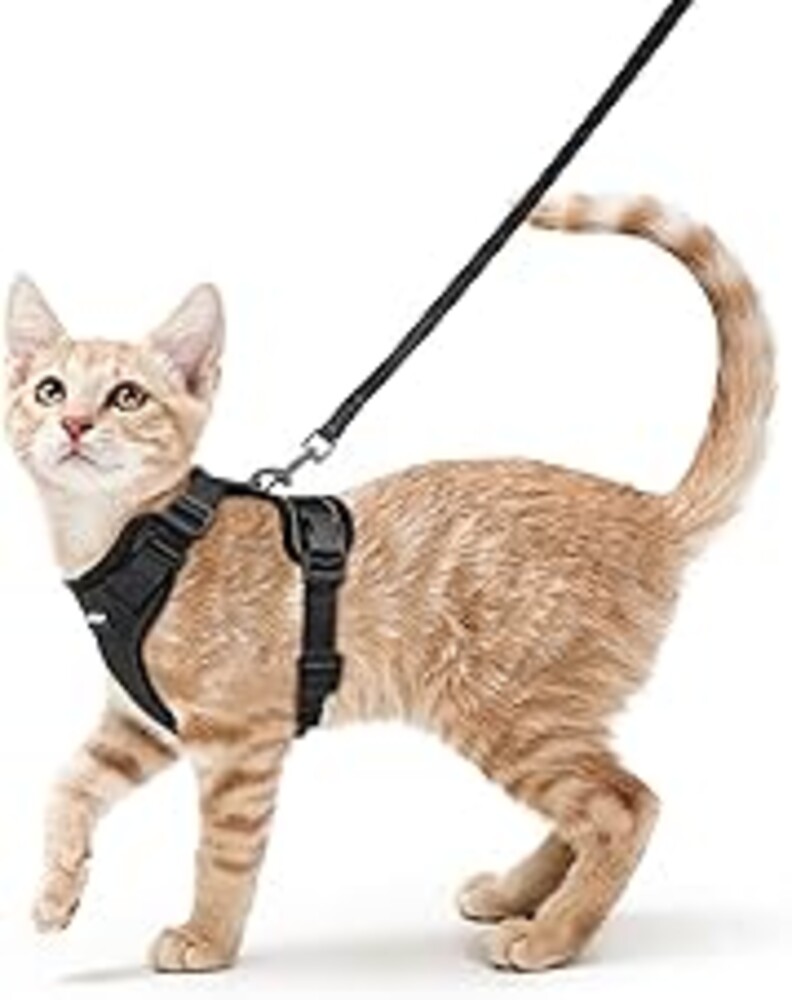 rabbitgoo Cat Harness and Leash Set, Escape Proof Vest, S, Black | Soft Breathable Mesh, No-choke Adjustable Fit, Snap Buckles, Sturdy Clip, Reflective Strips, for Average Adult Cats Walks