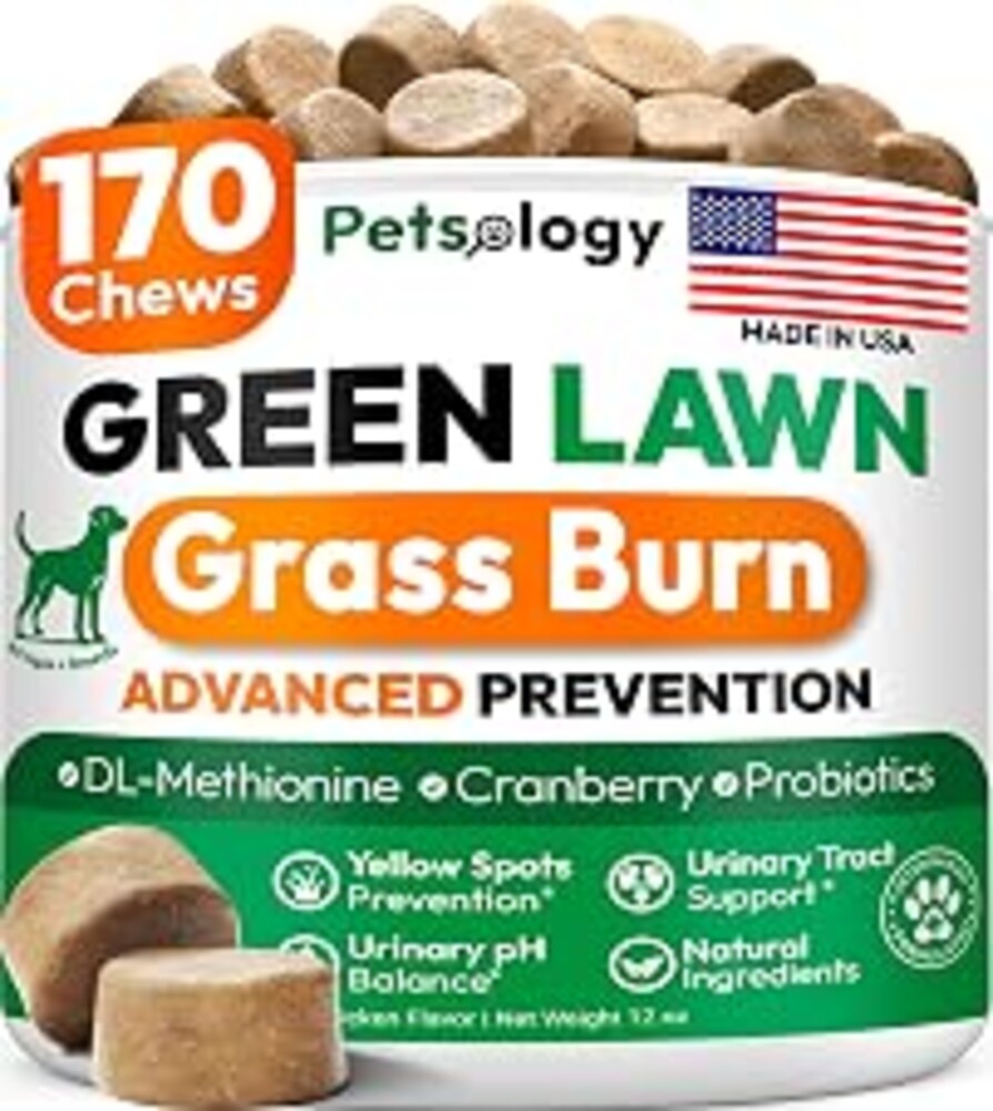 Petsology Dog Urine Neutralizer for Lawn - 170 Green Lawn Chews for Dogs - Pee Grass Burn Spot Saver Caused by Dog Urine with Probiotics & Digestive Enzymes - Advanced Gut Health Supplement, Rocks