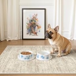 Soalmost 2x3 Washable Rugs for Kitchen, Entryway, Small Area Rug Beige | Non-Slip Vintage Low Pile Throw Door Mat For Bathroom Entry Laundry Powder Room, Stain Resistant Indoor Entrance Floor Carpet
