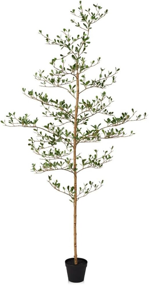 VeriNatural Black Olive Trees Artificial Indoor - 6ft Tall Fake Tree - Faux Floor Plants with Real Wood Trunk, Lifelike Foliage - Ideal for Home & Office & Apartment Decor