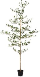 VeriNatural Black Olive Trees Artificial Indoor - 6ft Tall Fake Tree - Faux Floor Plants with Real Wood Trunk, Lifelike Foliage - Ideal for Home & Office & Apartment Decor