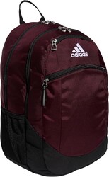 Striker Team Sports Backpack for soccer and more, workout bag for men and women