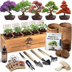 AVERGO Bonsai Tree Kit Deluxe - 5X Unique Japanese Bonzai Trees | Complete Indoor Bonsai Starter Kits for Growing Trees – DIY Gardening Gifts for Mother, Women & Men