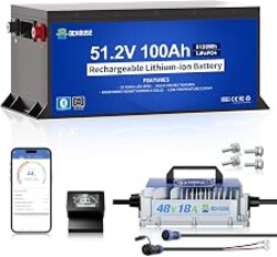 DC HOUSE Metal Case 48V 100Ah Lithium Golf Cart Battery Kit w/ 18A Charger | 200A BMS Lifepo4 Battery with 48V 18A Charger, Bluetooth Mobile APP & LCD Monitor, Peak Current 670A