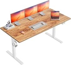 Agilestic 63*24 Inch Height Adjustable Electric Standing Desk, Light Brown | Sit Stand Up Computer Desk, Memory Presets, Stable Steel Frame,154 lbs, Easy Assembly, Splice Board, Home Office, Studying