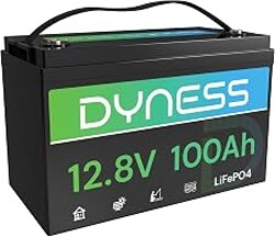 Dyness 12V 100Ah LiFePO4 Battery BCI Group 31 Lithium Battery with Low-Temp Cut Off Protection, A+ Grade Cell Built-in 100A BMS, Perfect for RV, Solar System, Off-Grid, Home Energy Storage
