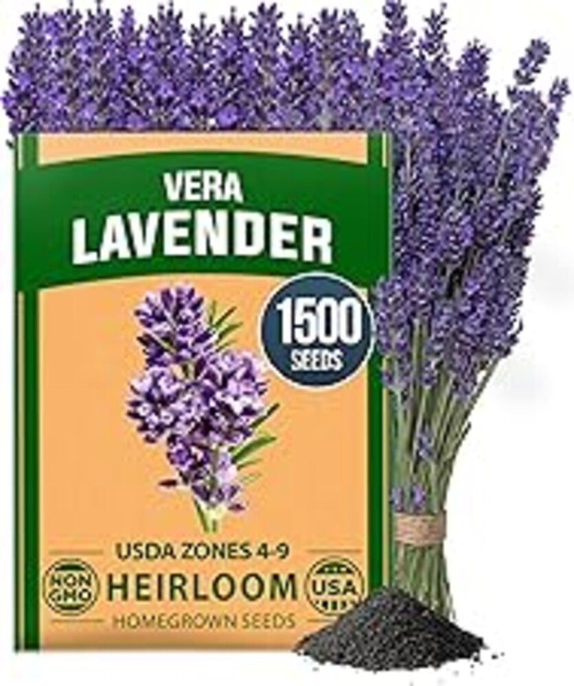 HOME GROWN Non GMO English Lavender Seeds 1,500+ Wildflower Seed for Planting Indoor/Outdoor, High Germination, Plant Flower Seeds (Lavandula antustifolia)