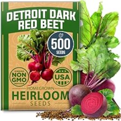 HOME GROWN Detroit Dark Red Beet Seeds 500+ Heirloom Non GMO Seeds for Planting, High Germination, Sweet & Tender Root Vegetable, Edible Greens, Canning, Pickling, Winter Storage (Beta vulgaris)