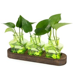XXXFLOWER Plant Propagation Station with