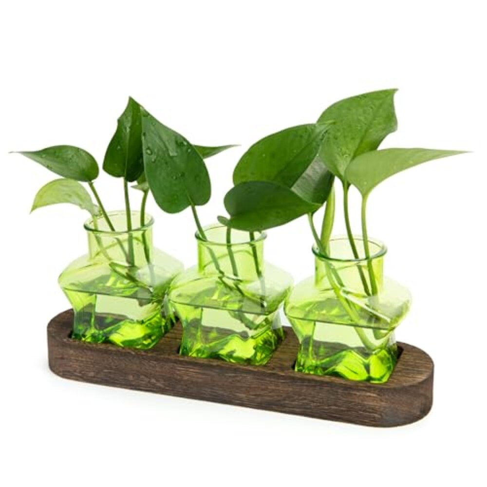 XXXFLOWER Plant Propagation Station with