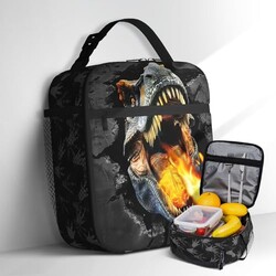 Dinosaur Lunch Bag for Boys Insulated Re