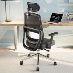 QuelSoft Ergonomic Office Chair, High Ba
